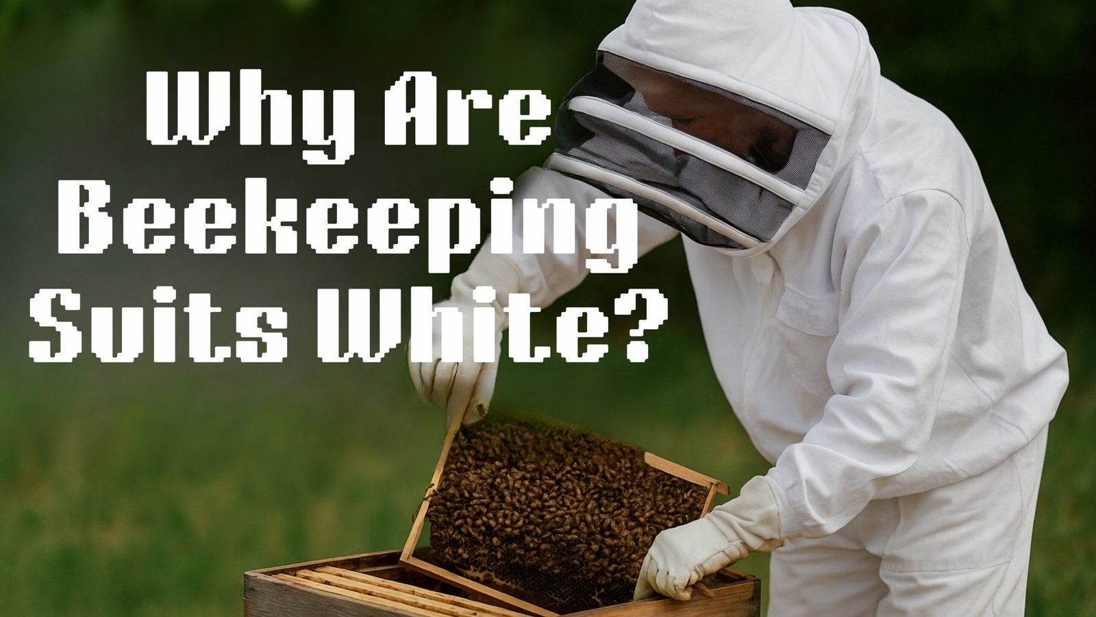Beekeeping Suits White