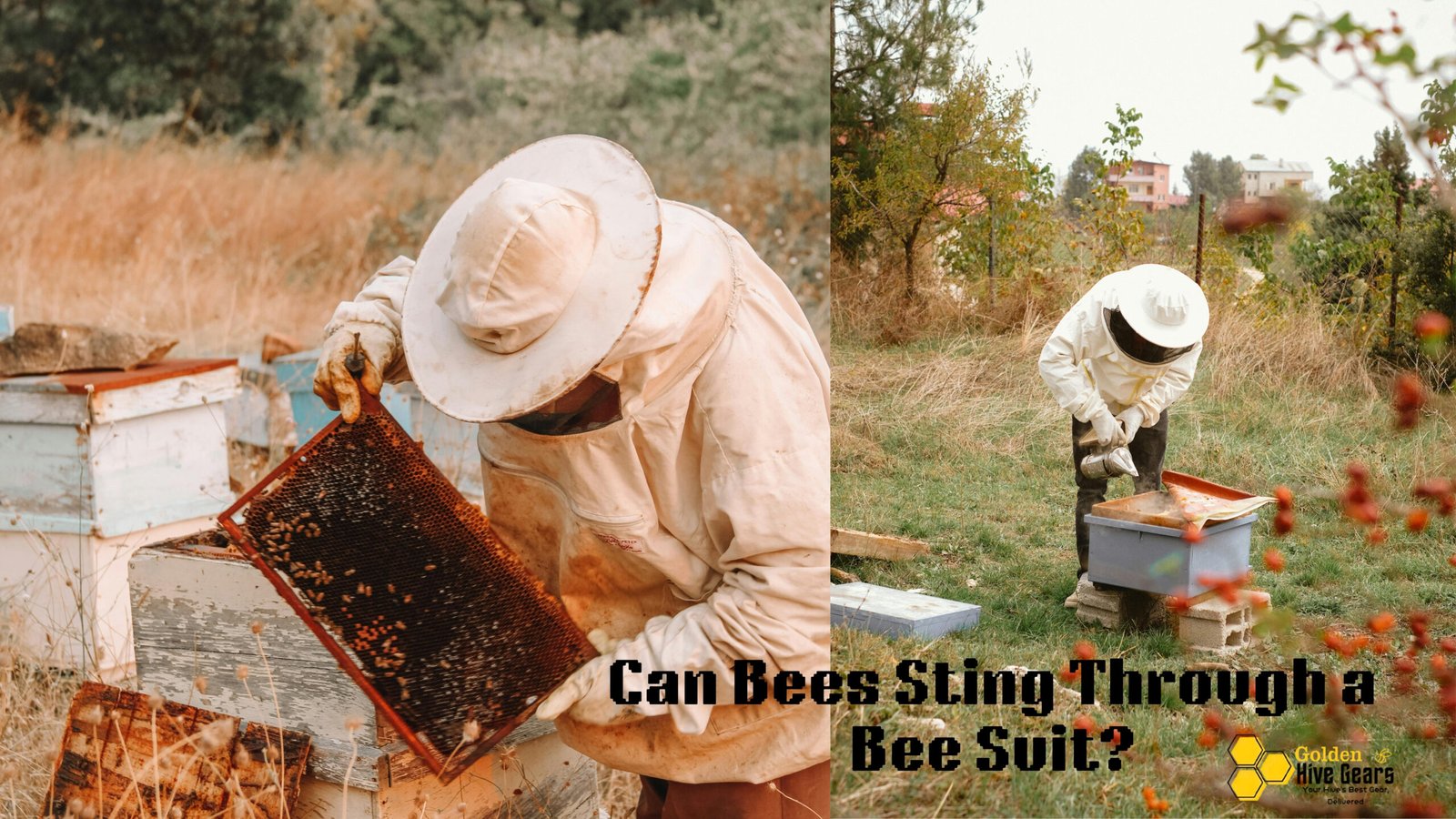 Can Bees Sting Through a Bee Suit?