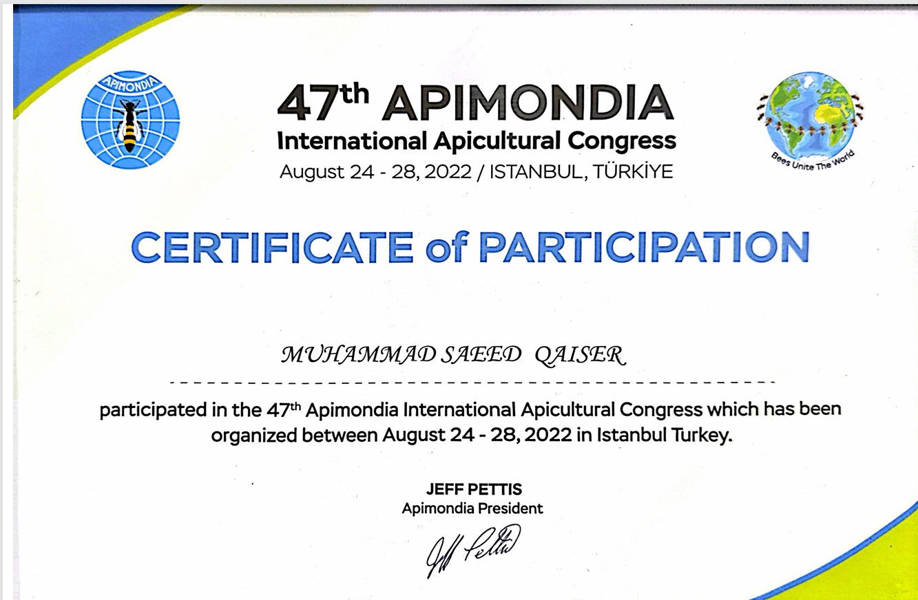 Screenshot 2025-09-12 230510